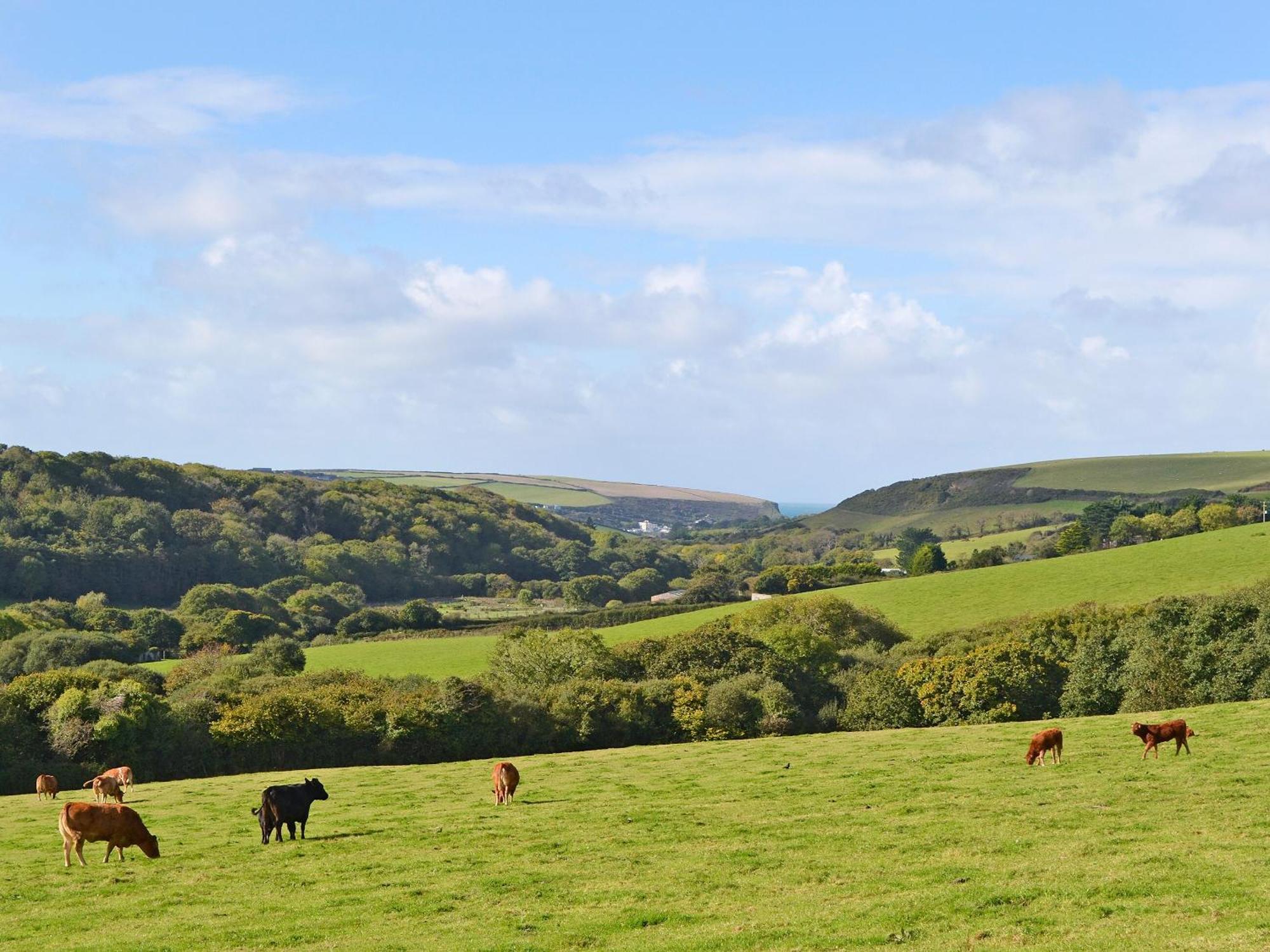 Merlin View St Mawgan Exterior foto
